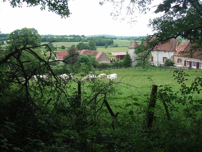 2010-05- (70).JPG